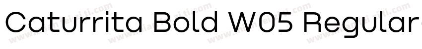 Caturrita Bold W05 Regular字体转换